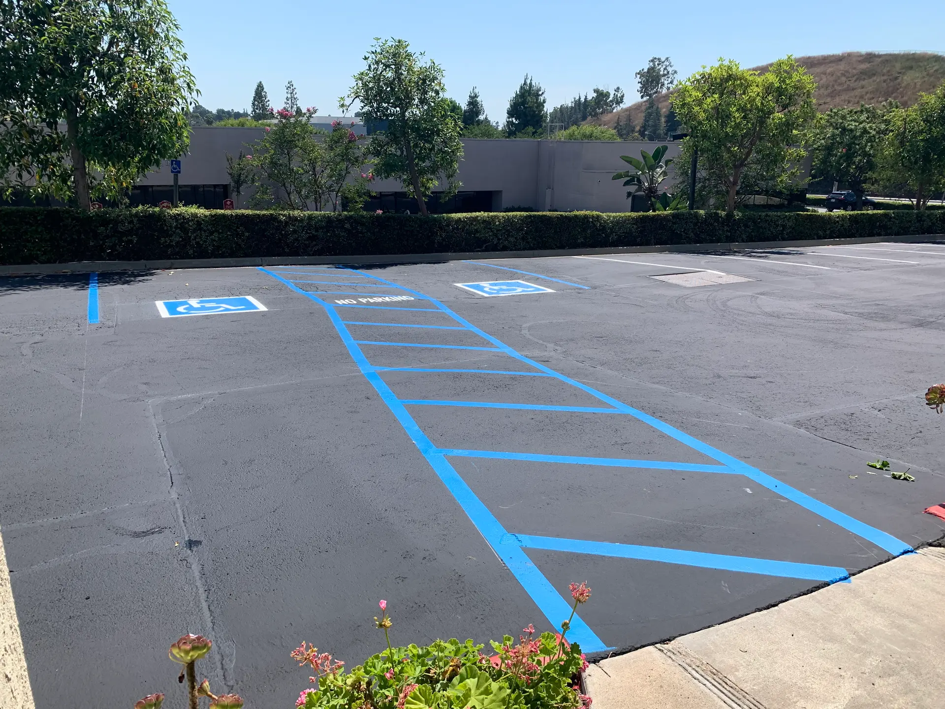 ADA accessible parking stalls and striping by Native Union Engineering